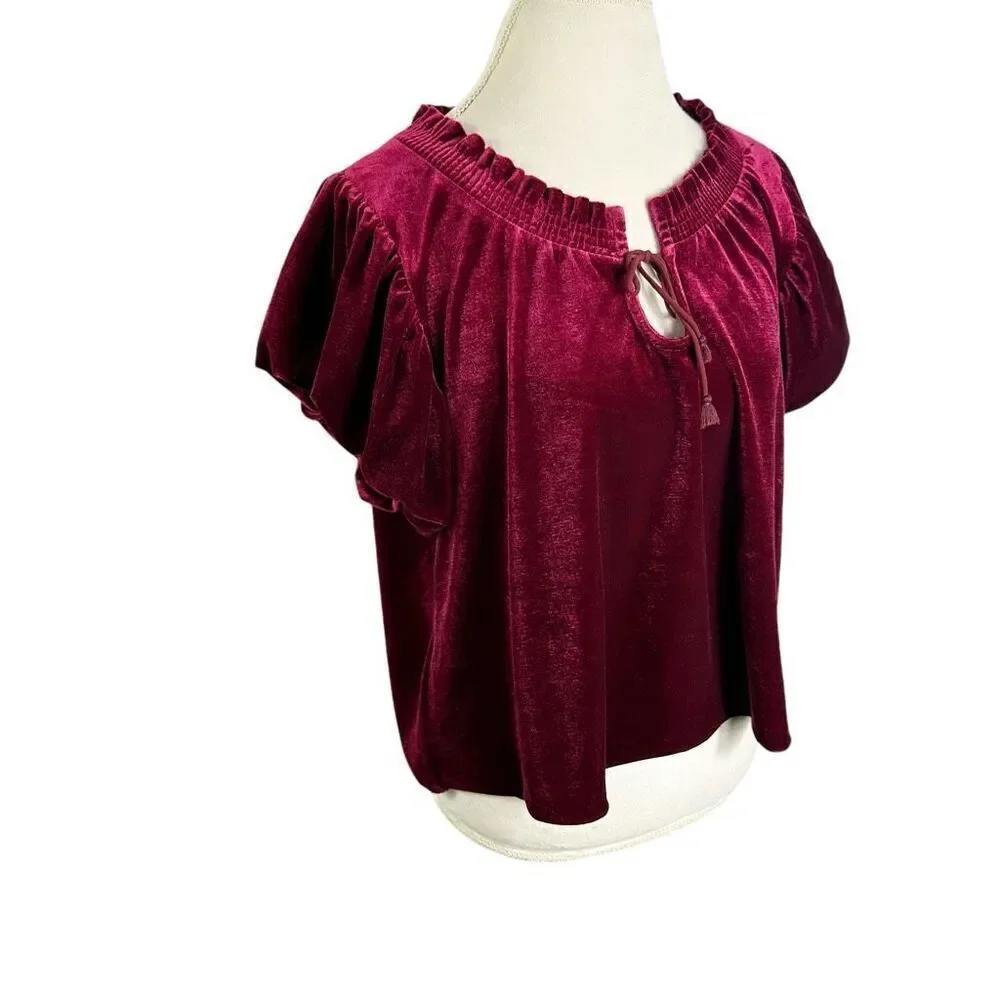 Free People Terese Garnet Red Velvet Short Puff Sleeve Top Boho Fall Size M